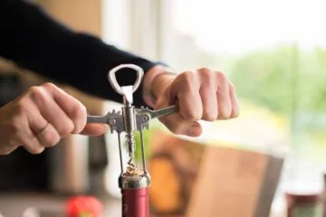 Mastering the Art of Red Wine Stain Removal