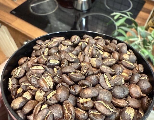 Unraveling the Mystery of Unevenly Roasted Bourbon Caturra Beans on a Gene Cafe
