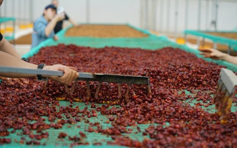 Fixing Loose Drum Soldered Wire on Behmor SR2020: A DIY Guide