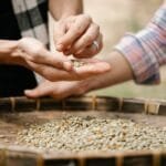 pexels Coffee glossary coff