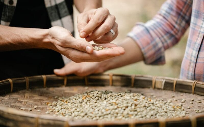 pexels Coffee glossary coff