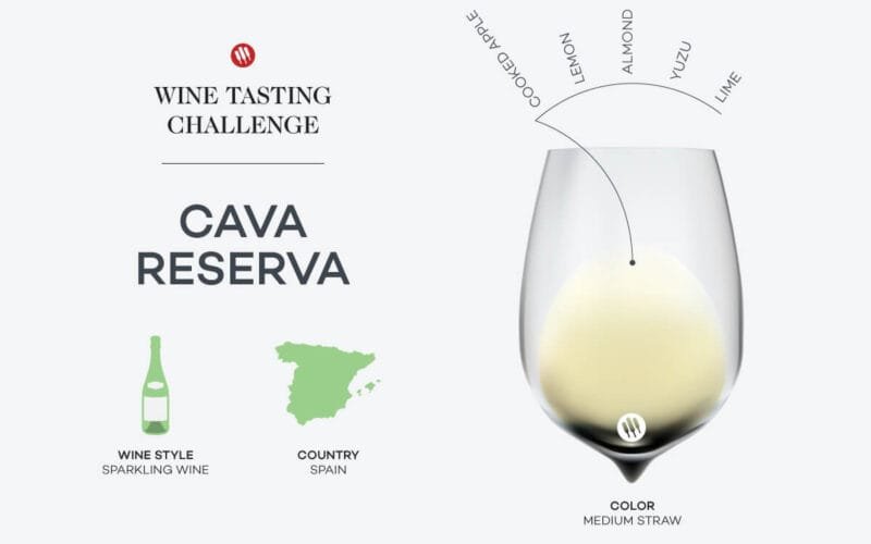 Discover the Affordable Champagne Alternative: Spanish Cava