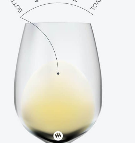 Unveiling the Charm of French Crémant: A Must-Try Alternative to Champagne