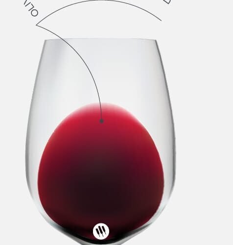 South African Pinotage: A Redemption Story in Every Bottle