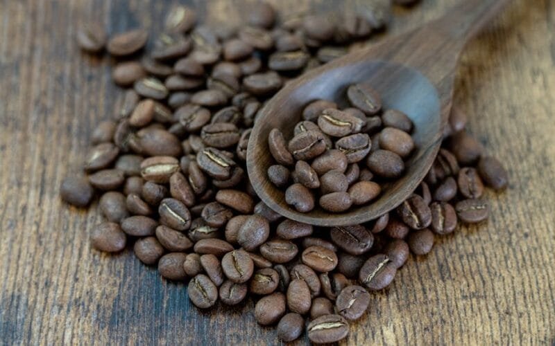 South America’s Coffee Chronicles: From Colombia to Bolivia