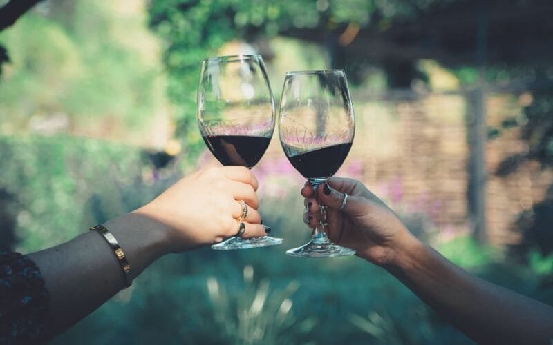 Sip Smart: A 48-Hour Sonoma Wine Escape