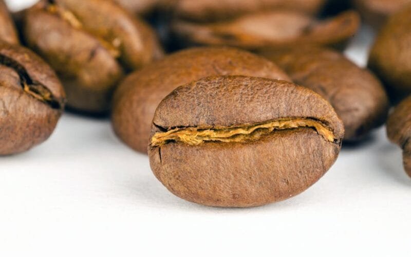 First Roast Chronicles: Nyeri Ndaroini AA at the Edge of Light