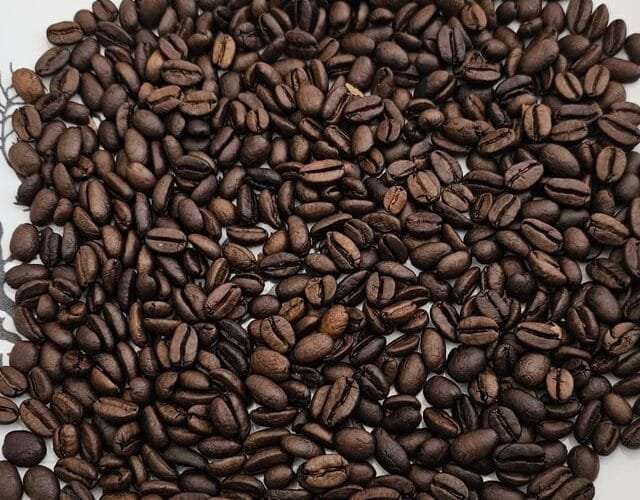 First Roast, First Lessons