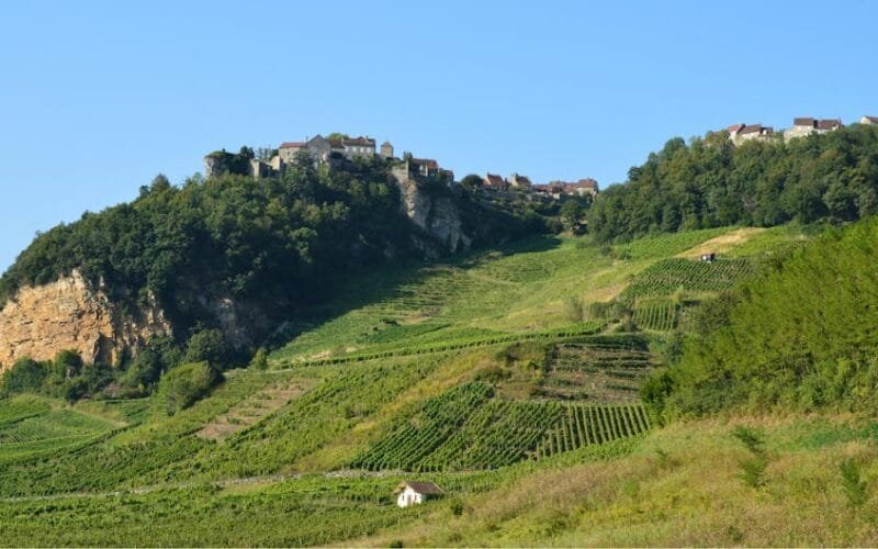 Santorinis Vineyards Climate Crisis and Tourism Threaten a Wine Legacy