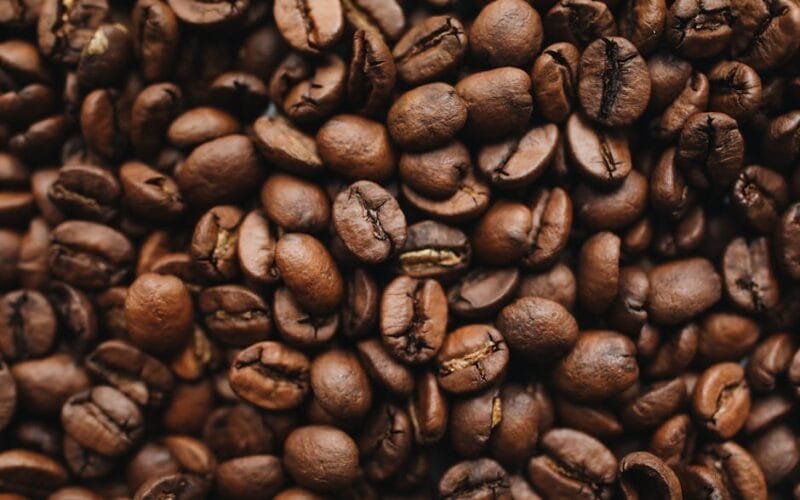 How Roasters Taste Fresh Coffee Without Waiting Weeks