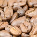 light roast coffee buying guide 6 best light
