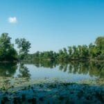 Why Boiling Water Is Screwing Up Your Tea And How to Fix It