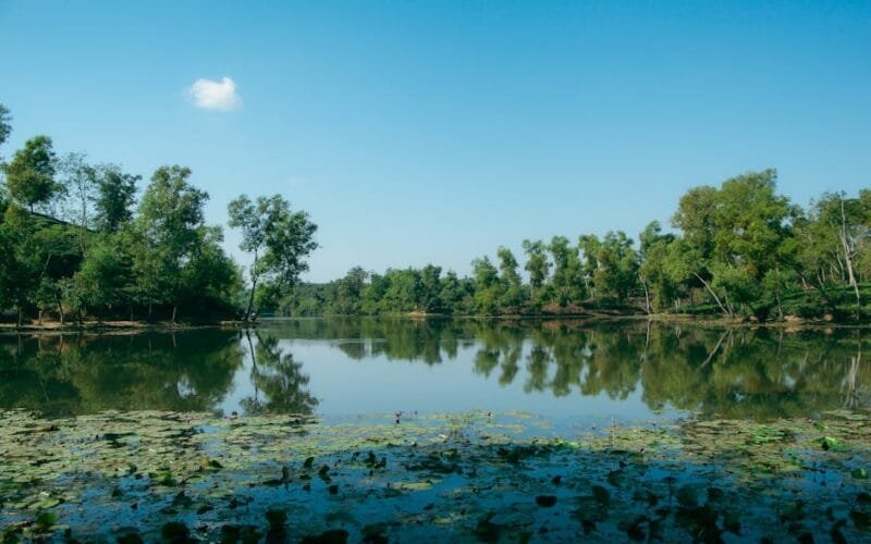 Why Boiling Water Is Screwing Up Your Tea (And How to Fix It)