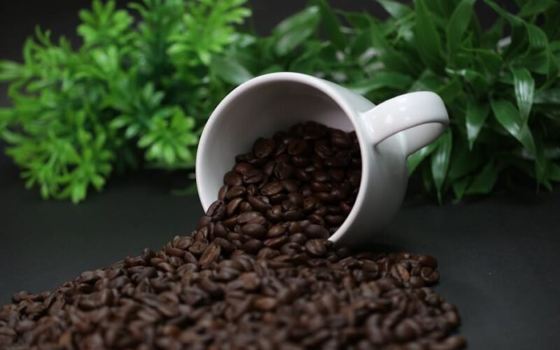 Discover the Future of Coffee in India: Top Artisanal Brands to Watch