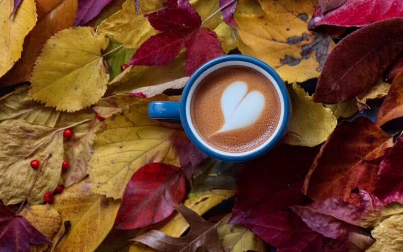 The Barista League Revolutionizes Coffee Competitions: A Creative and Accessible Approach to Excellence