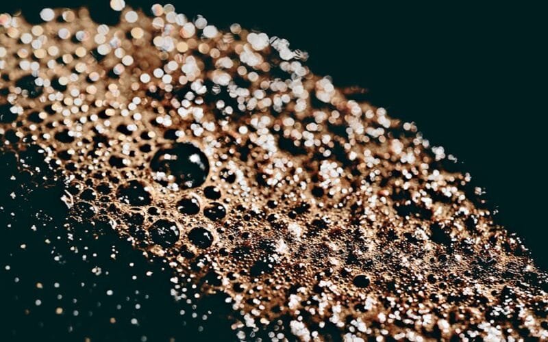 Can Specialty Coffee Survive the Speed of Modern Economies?