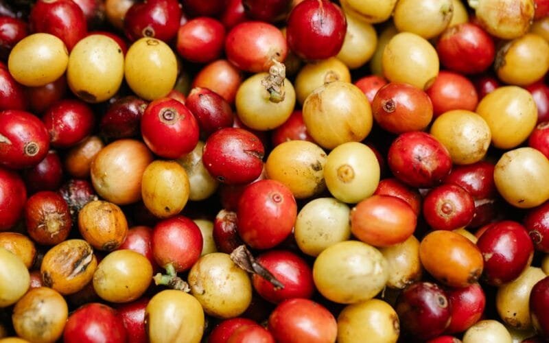 Sanremo’s IoT Revolution: Coffee Tech That Smarts Up Your Brew