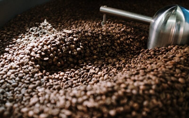 The SR800 Roast: Why One Home Brewer Swears by It (And How You Can Too)