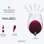 Malbecs Double Life From French Roots to Argentinian Fame