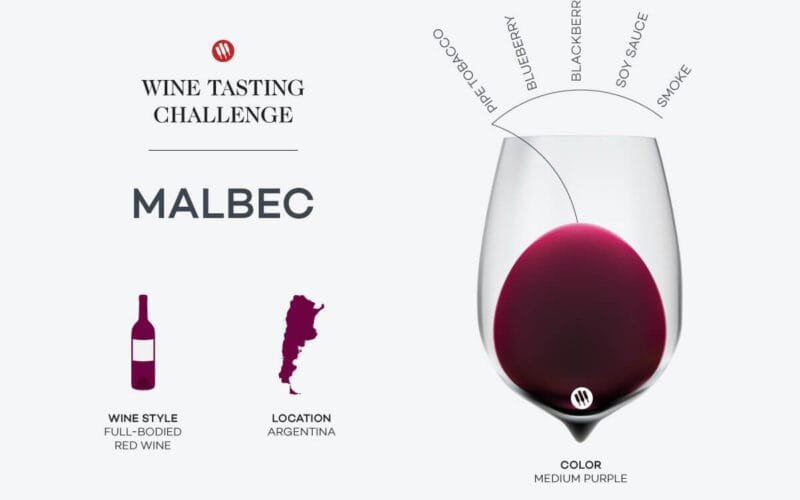 Malbec’s Double Life: From French Roots to Argentinian Fame