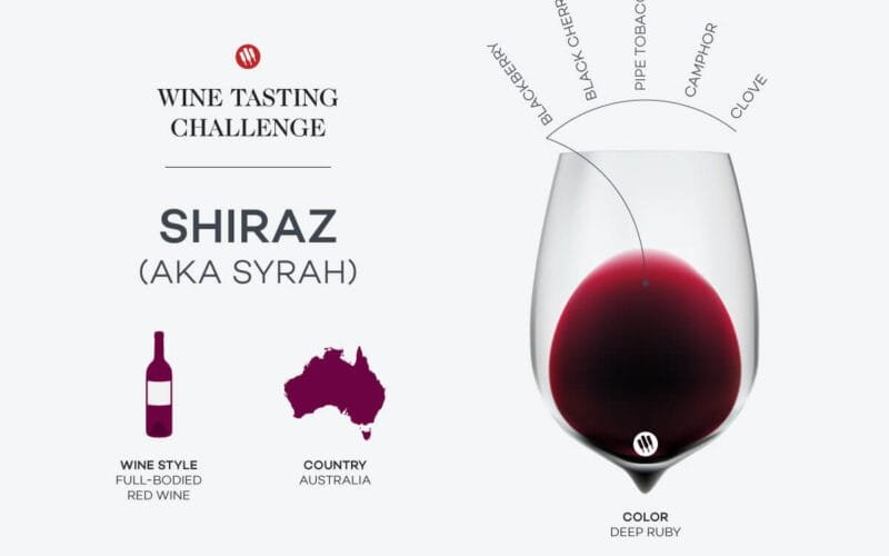 Shiraz vs. Syrah: The Aussie Twist on a French Classic