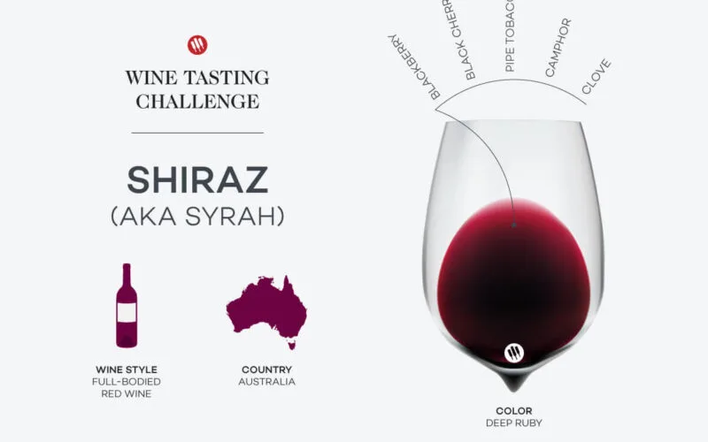 Shiraz vs Syrah The Aussie Twist on a French Classic