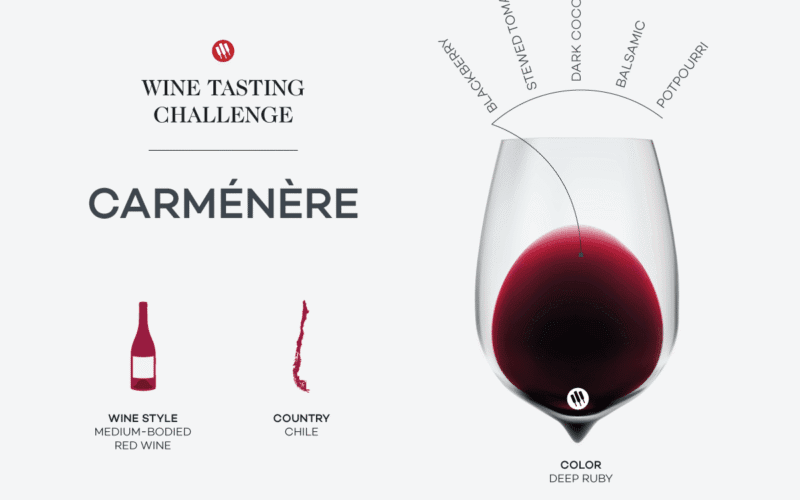 Carménère’s Quiet Revolution: Why Chile’s Forgotten Grape is Stealing the Spotlight