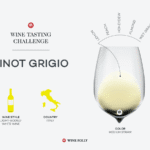The Quiet Power of Italian Pinot Grigio