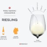 The Grape That Made Germanys Wine Scene Legendary