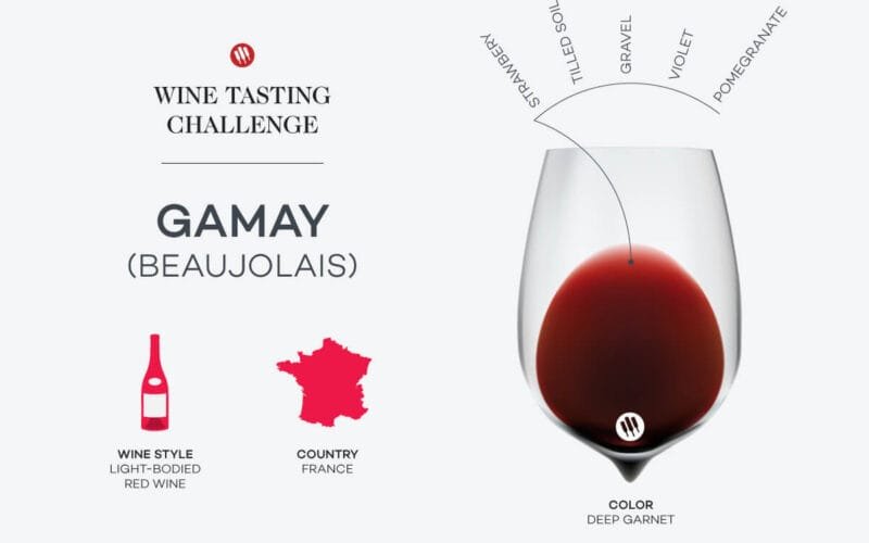 Beaujolais Isn’t Just a Wine—It’s a Mood