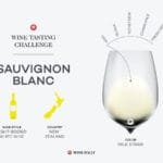 The Kiwi Kick Why New Zealand Sauvignon Blanc is a Tasting Revolution