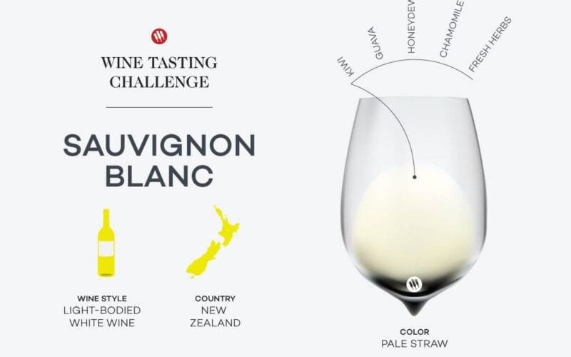 The Kiwi Kick: Why New Zealand Sauvignon Blanc is a Tasting Revolution