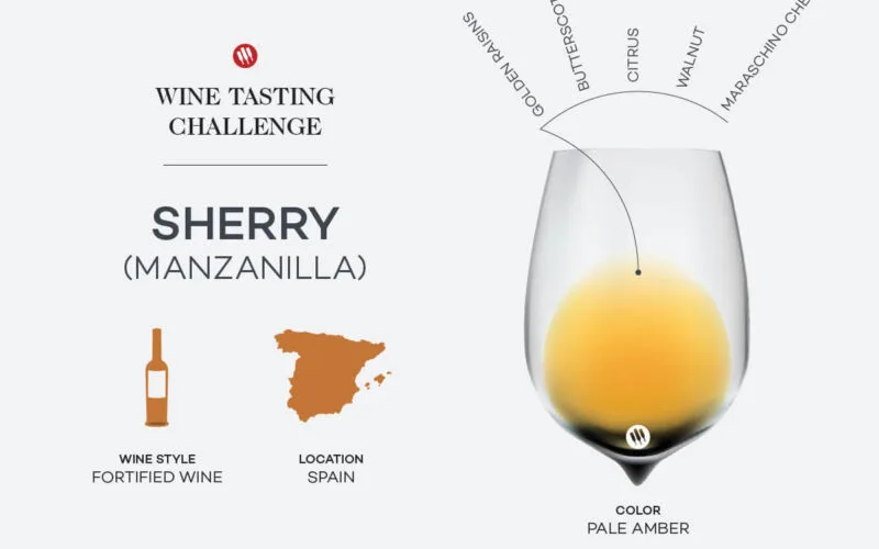 Sherry’s Quiet Revolution: Why This Fortified Wine is Worth Savoring