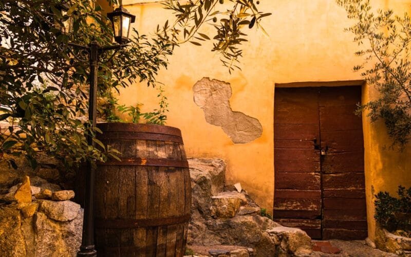 Garrigue: The Herb-Heavy Secret Behind Provence Wines (And Why It’s Not Just for France)