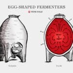The Egg Fermenter Ancient Wisdom or Modern Myth