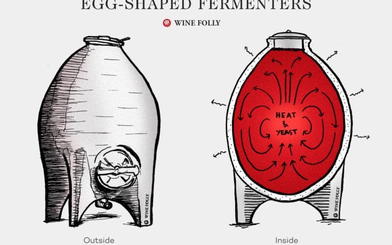 The Egg Fermenter Ancient Wisdom or Modern Myth