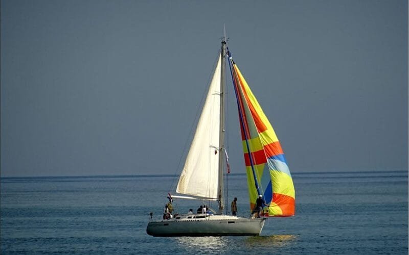 Sailing Toward Sustainability: How Sail Transport is Reshaping Coffee’s Future