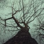 The Keurig K-Cups That Deliver Real Coffee Not Just Steam