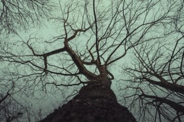 The Keurig K-Cups That Deliver Real Coffee, Not Just Steam