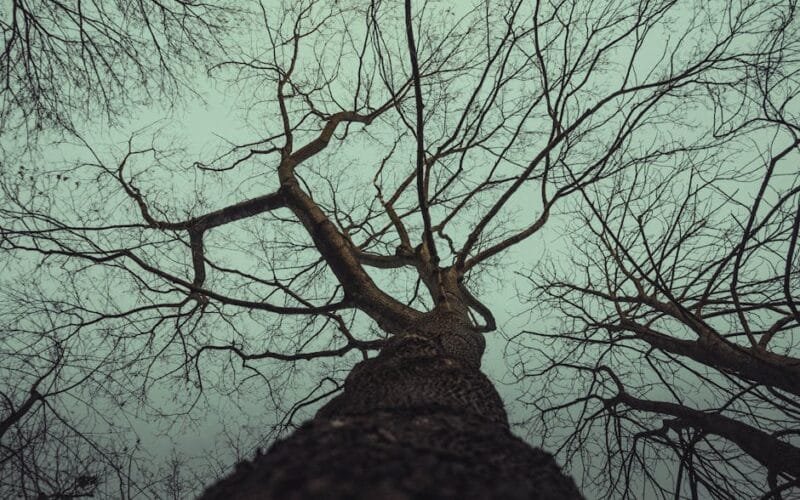 The Keurig K-Cups That Deliver Real Coffee, Not Just Steam