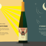 Why Your Wine is Turning Sourand How to Stop It