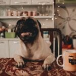 Nomas Greenhouse Brews a New Coffee Philosophy