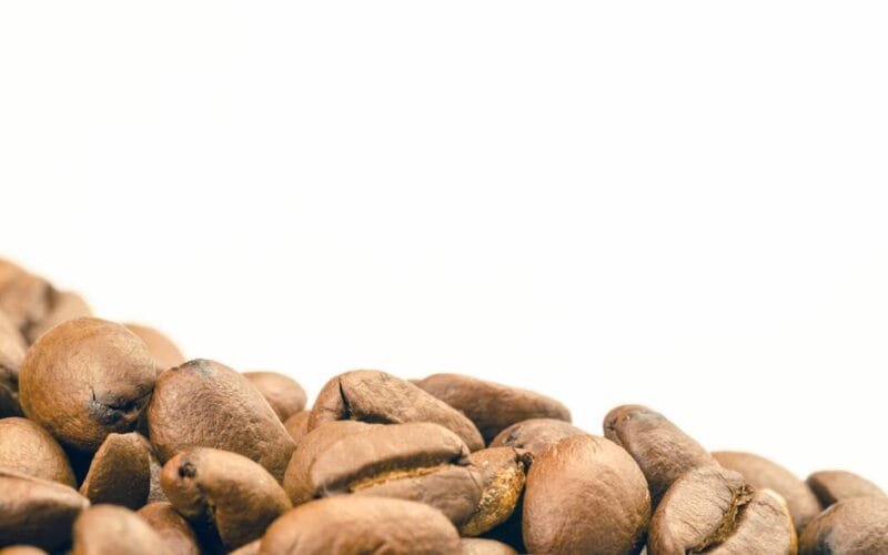 Elemental Coffee’s New OKC Cafe Elevates Quality, Community