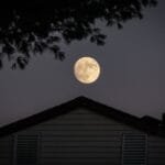 Profitec Gos Double Dilemma Should You Chase the Manuals 60 mL