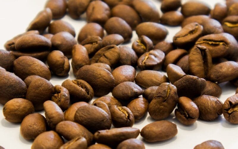 How to Master Light Roast Development Without Sacrificing Flavor