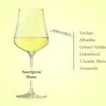 The Best Sauvignon Blanc Alternatives for Your Palate