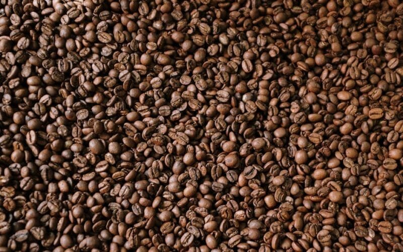 Skywalker for Light Roasts: A Roaster’s Dilemma