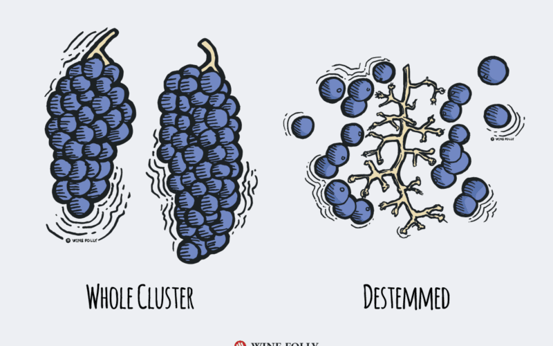The Stemmy Truth: Why Whole Cluster Fermentation is Shaping Modern Wines