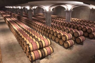 Ukraine’s Wine Resilience: Surviving War, Crafting Legacy