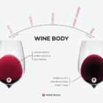 Decoding Wine Body How to Taste the Fullness in Every Sip